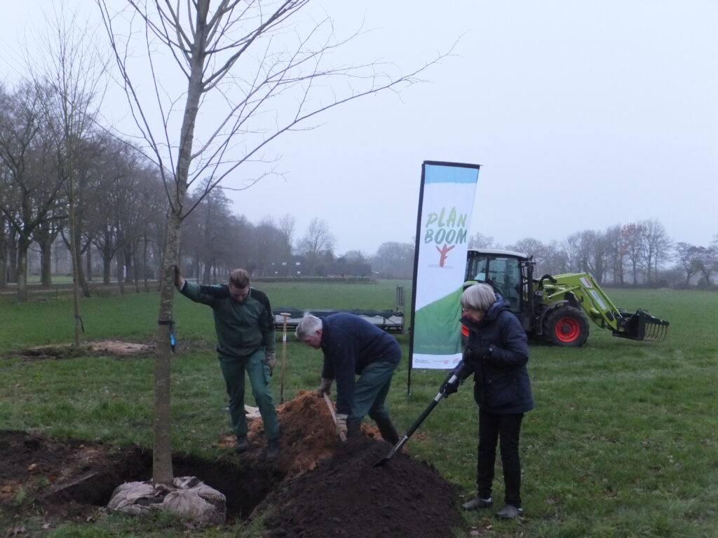 Eerste 20.000 bomen Plan Boom Drenthe geplant