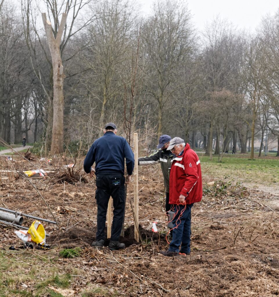 Bewonersgroep plant lindebomen in Zuiderpark Hoogeveen