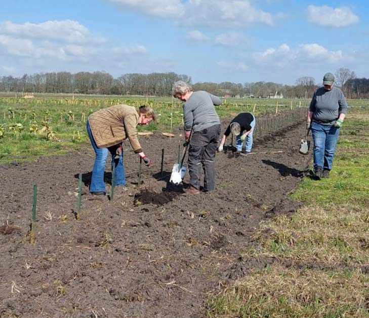 Samen voor een groener Drenthe: ruim 24.000 bomen de grond in!