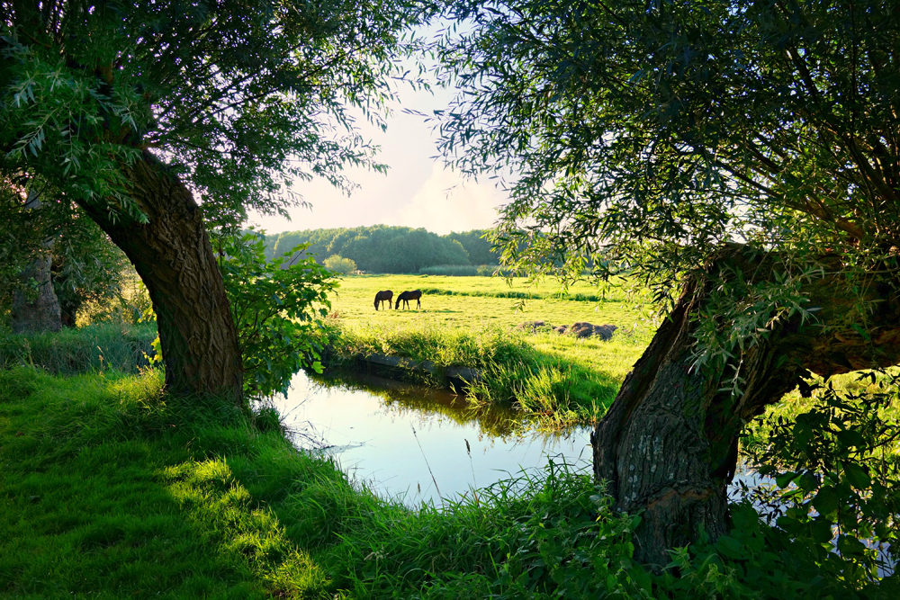 Minister Van der Wal ontvangt Aanvalsplan Landschap enthousiast