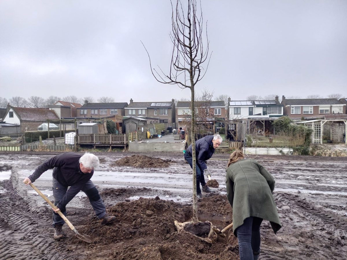 Eerste bomen geplant in Mandenmakerspark Meppel