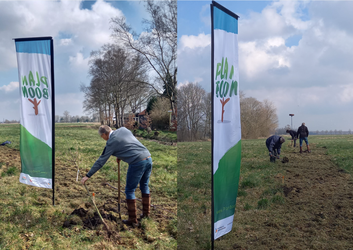 Samen de handen uit de mouwen in Drenthe: ruim 17.000 bomen de grond in!