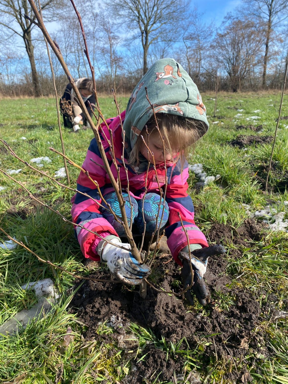 Kleine bosjes met grote waarde