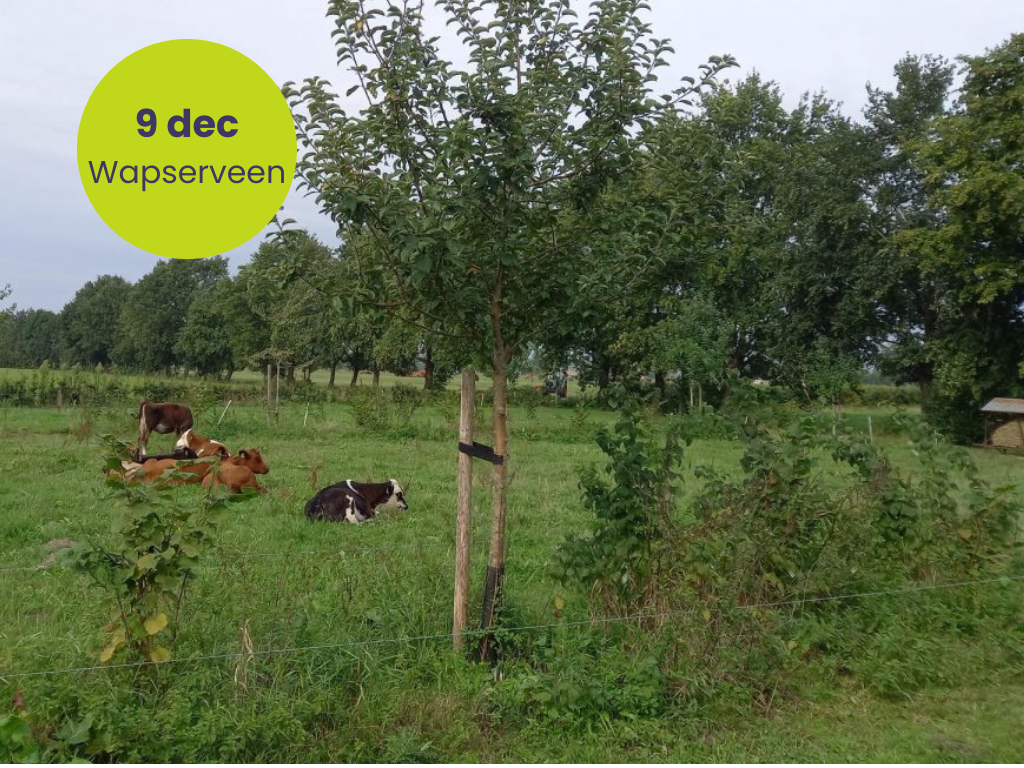 Uitnodiging kennis- en praktijkmiddag '(voeder)Hagen, aanplant & beheer’