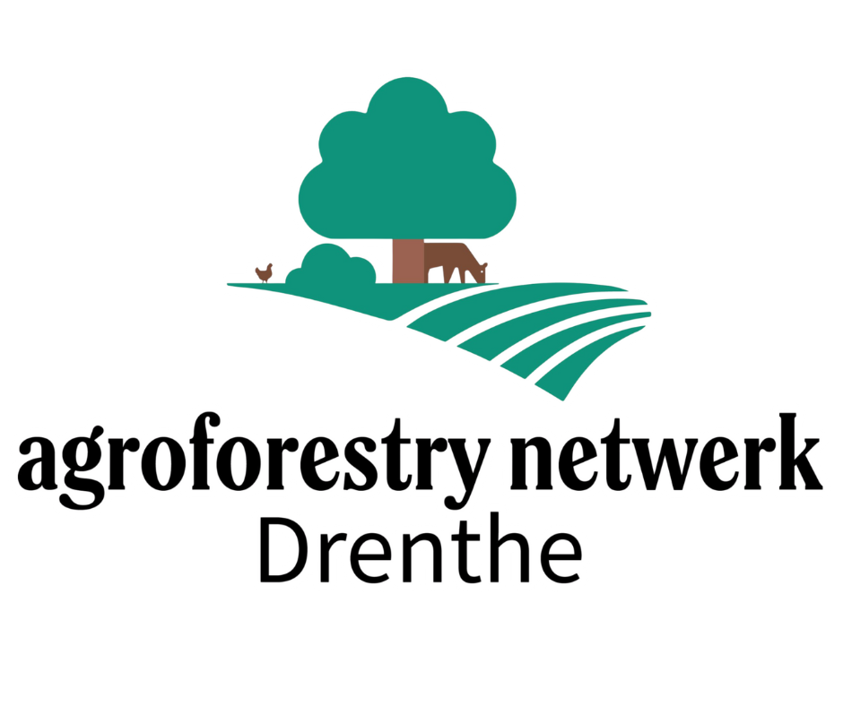 Plant een boom Drenthe