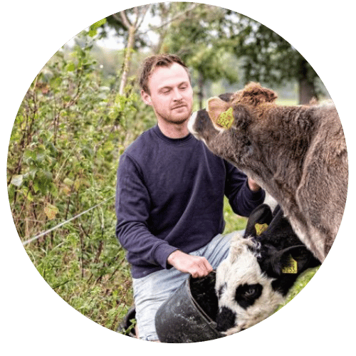 Ron van Zandbrink – Boerderij Tussen de Hagen (Stoutenburg)